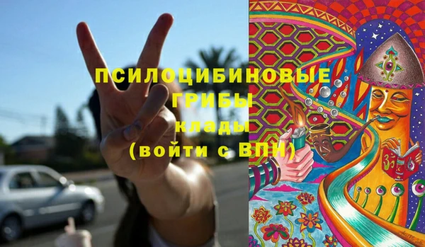 бутират Медногорск